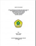 KTI ASUHAN KEPERAWATAN PADA IBU POSTPARTUM DENGAN MASALAH KEPERAWATAN  RISIKO INFEKSI LUKA PERINEUM MENGGUNAKAN TEKNIK VULVA HYGIENE DI RUANG DELIMA RUMAH SAKIT UMUM DAERAH Dr. H. ABDUL MOELOEK PROVINSI LAMPUNG 2019